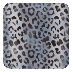 leopard-slate