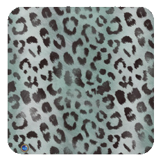 leopard-jade